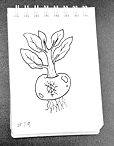 Daily Drawing 119