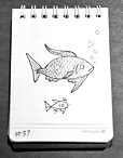 Daily Drawing 37