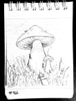 Daily Drawing 966
