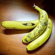 creatures drawn on a banana with pen